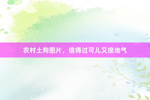 农村土狗图片，信得过可儿又接地气