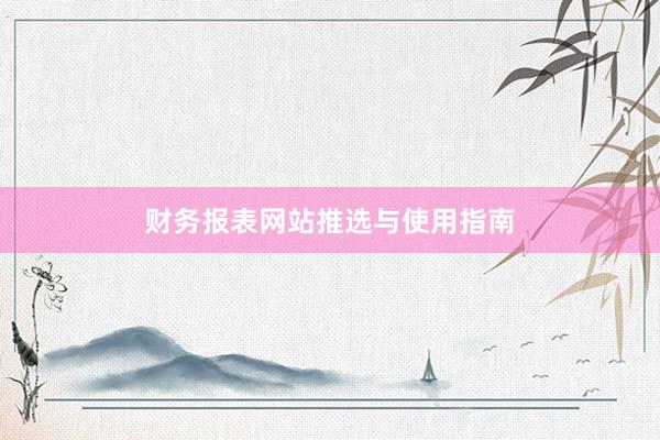 财务报表网站推选与使用指南